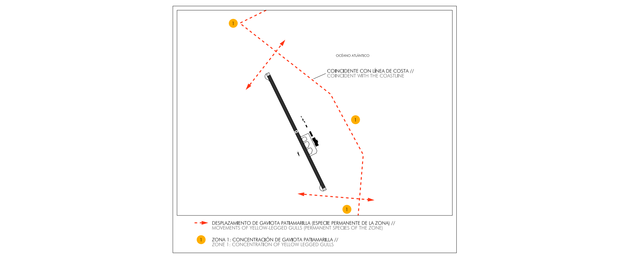 Movimientos de aves GCHI
