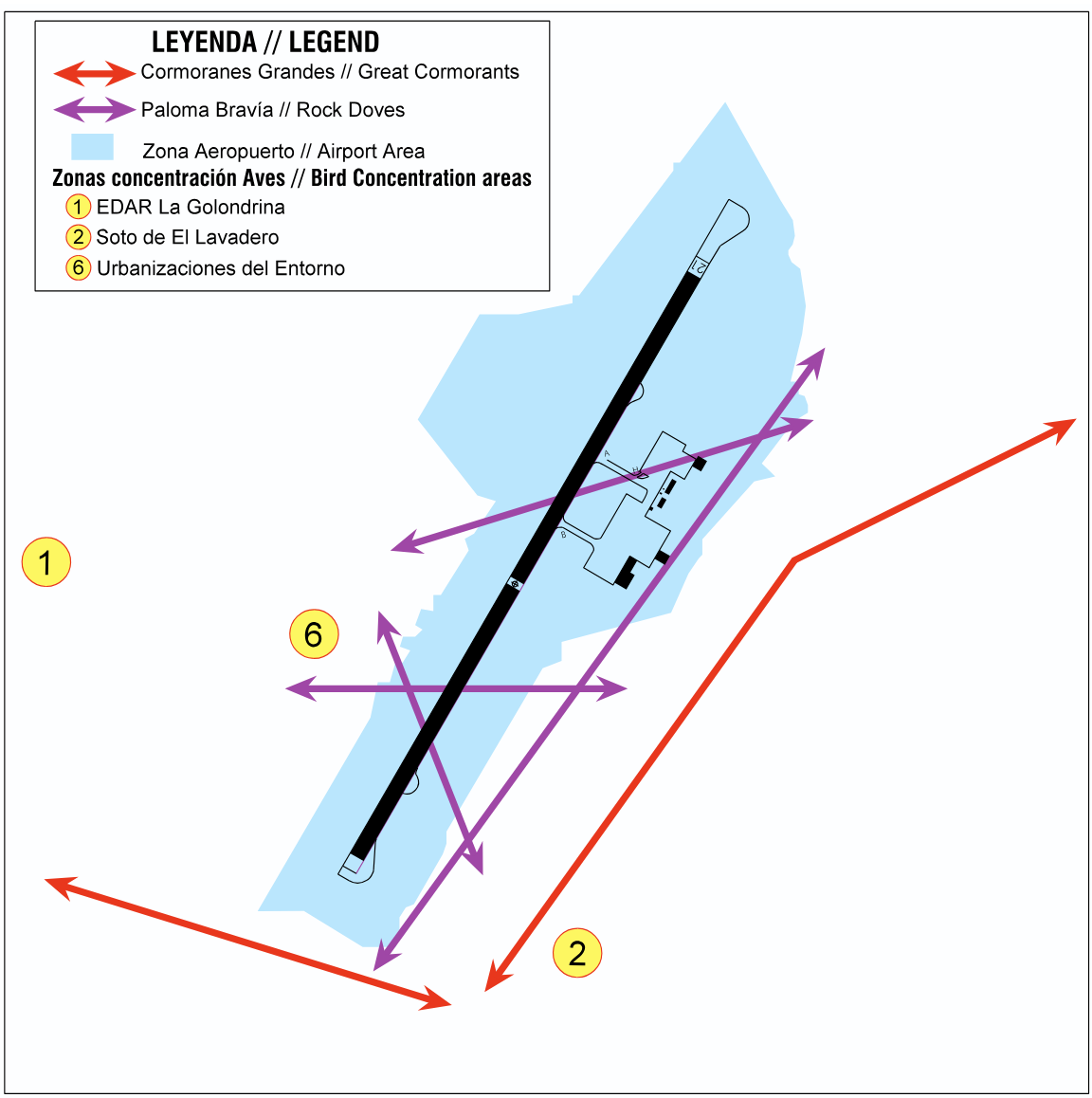 circuito