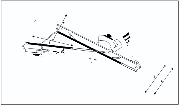 Servicio de control de fauna