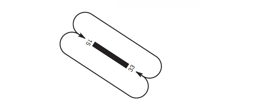 circuito